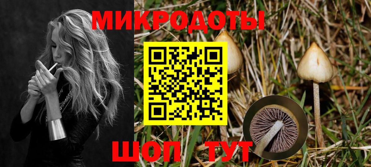 Галлюциногенные грибы Psilocybine cubensis Волжский