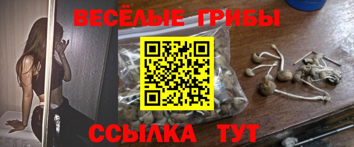 Псилоцибиновые грибы MAGIC MUSHROOMS  Вход с VPN  Волжский 